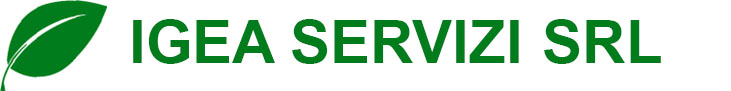 Igeaservizi srl